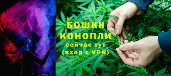 трава Беломорск