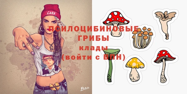2c-b Белоозёрский