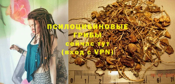 гашиш Белокуриха